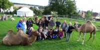/album/fotogalerie-velbloudi-raj-zahostice/skupina-velbloudi-jpg1/